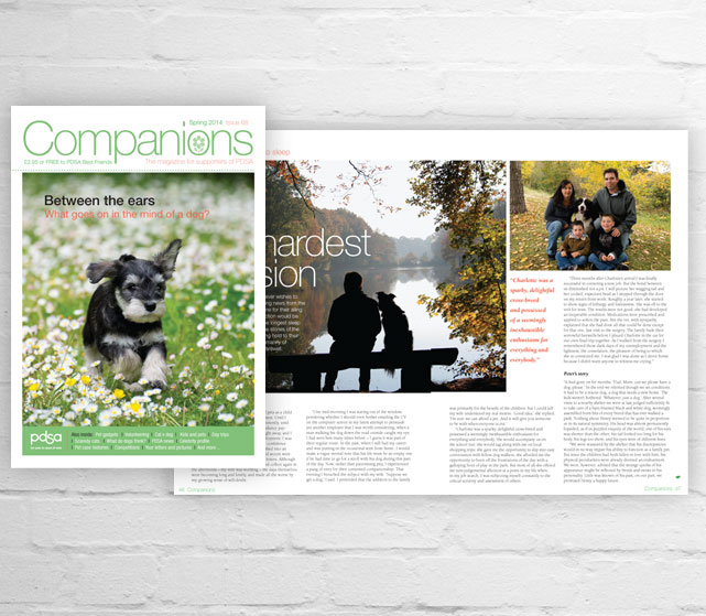 portfolio-companions-2dps